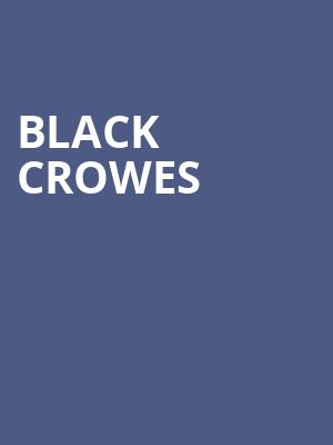 Black Crowes, Union Bank and Trust Pavilion, Norfolk