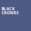 Black Crowes, Union Bank and Trust Pavilion, Norfolk