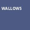 Wallows, The Norva, Norfolk